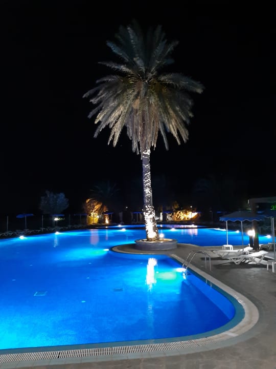 Pool Hotel Cathrin