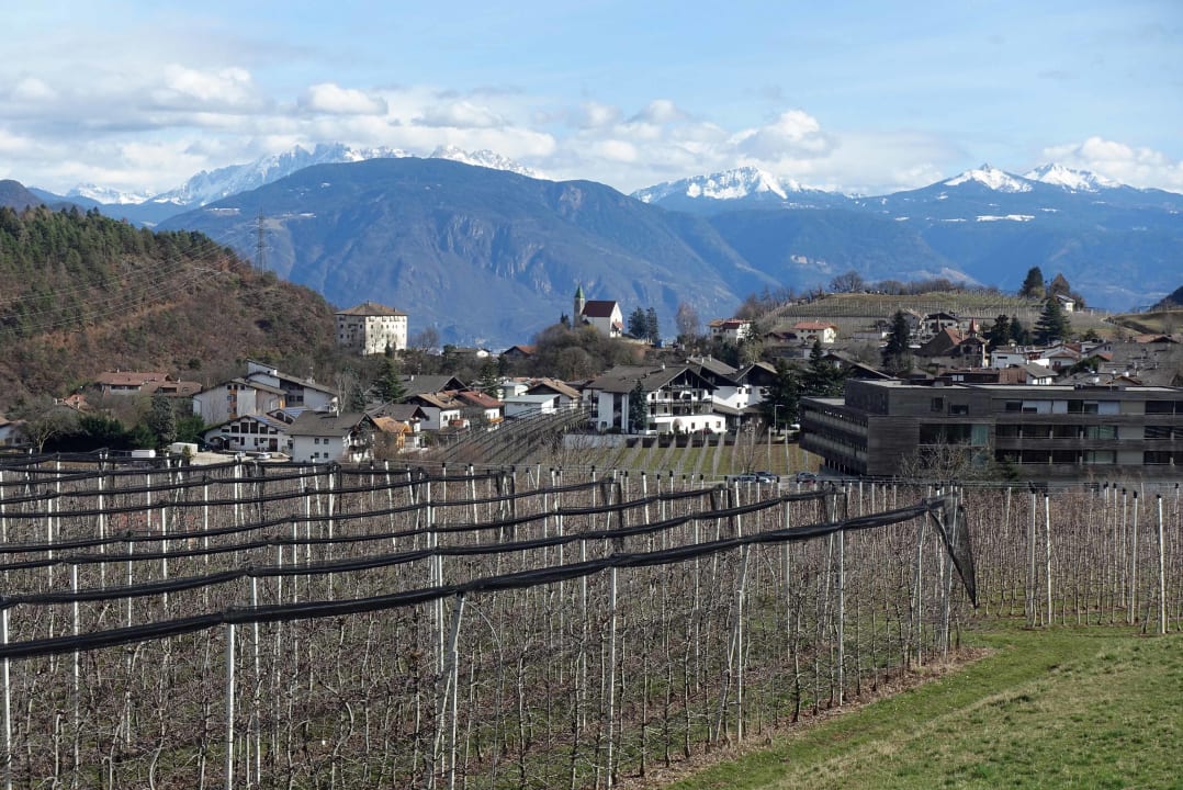 Ausblick Pension Felsenegg