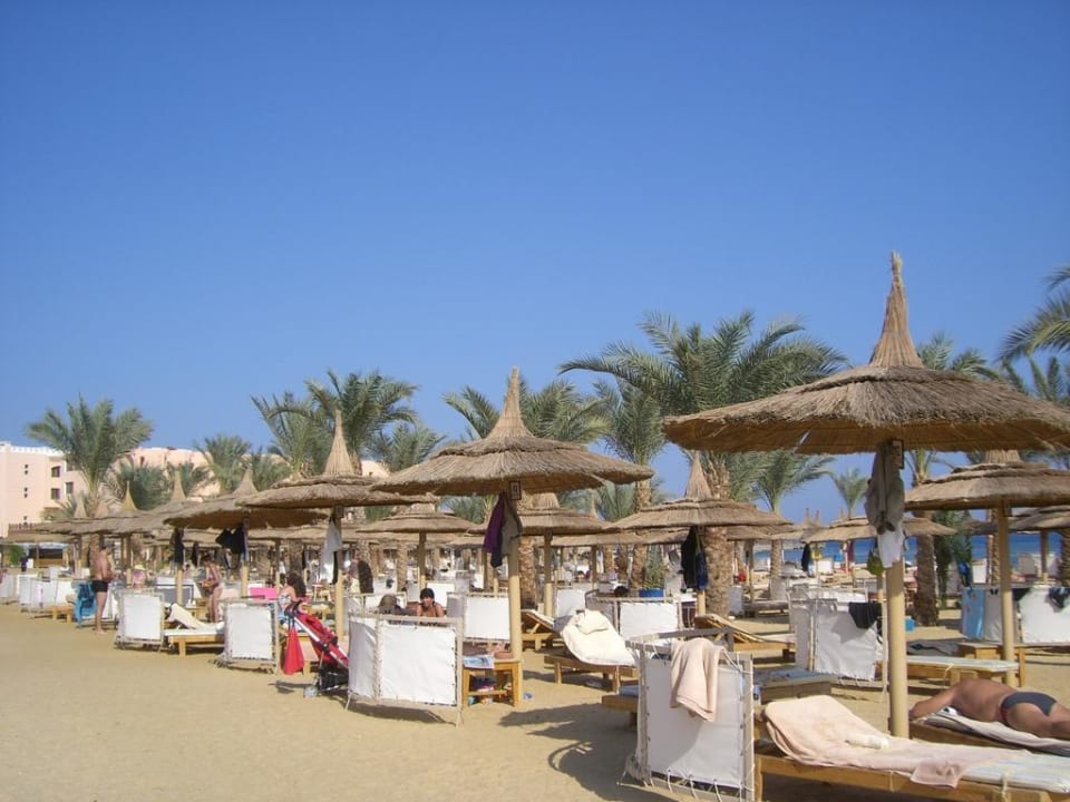 Am Strand Pickalbatros Palace Resort