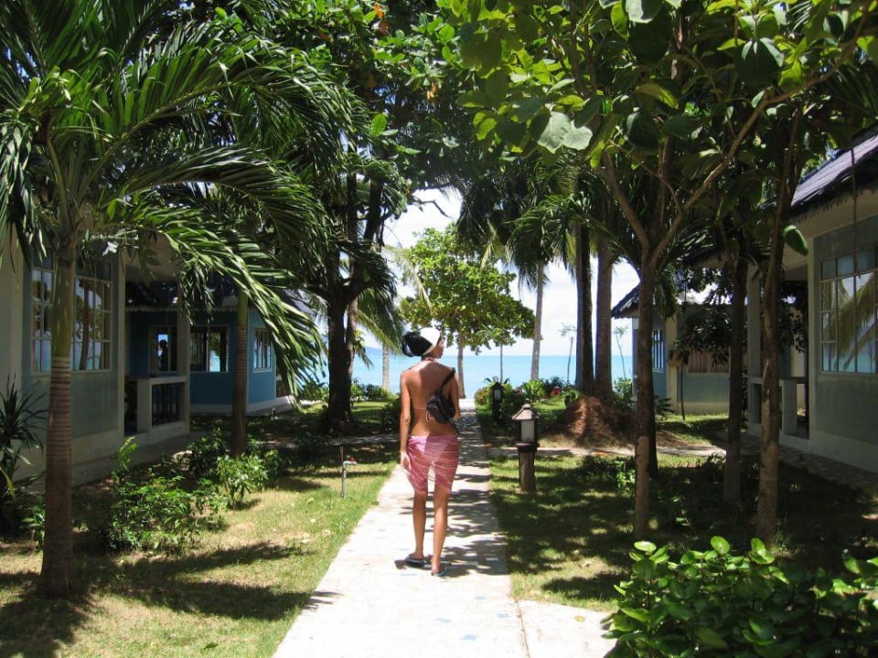 Die Anlage vor den Strandbungalows NH Collection Samui Peace Resort