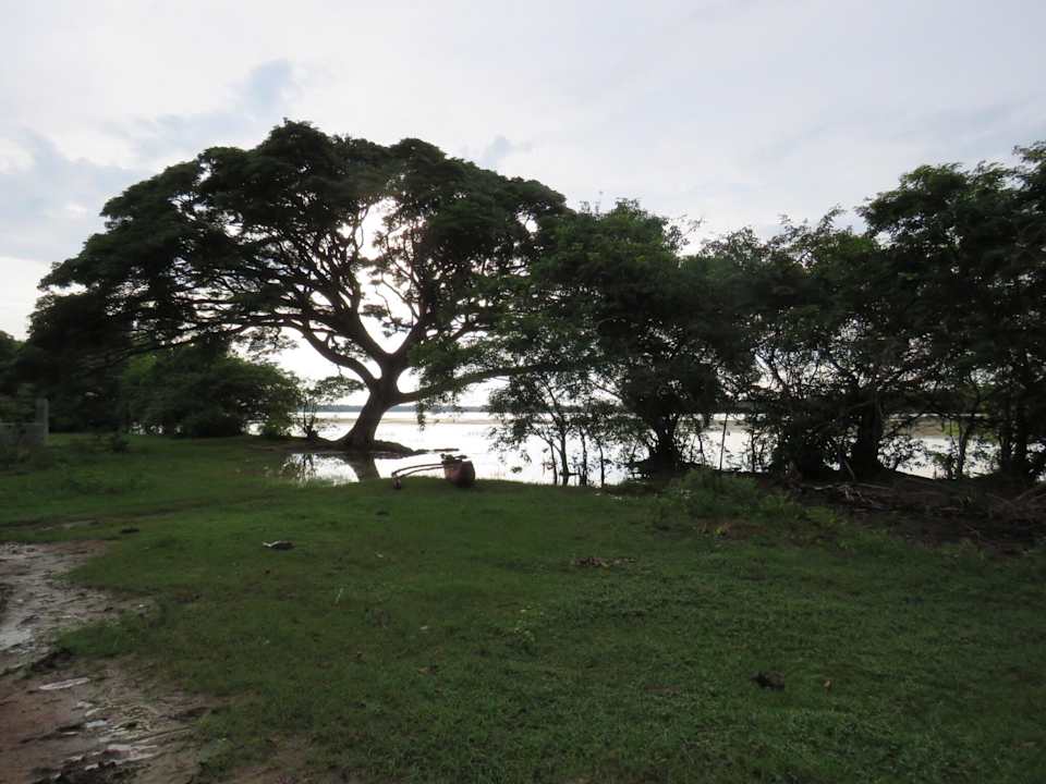 Lake The Yala Adventure