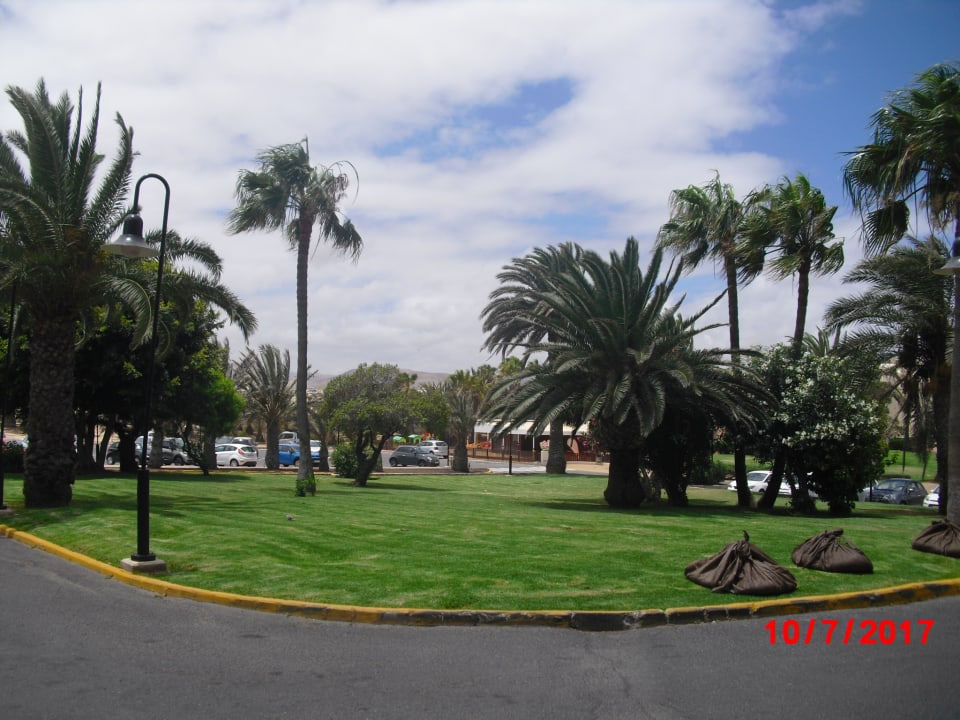 Gartenanlage Hotel Riu Oliva Beach - Hotel