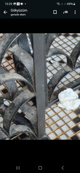 Außenansicht Club Hotel Anjeliq