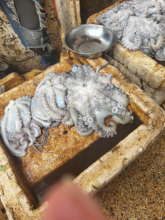 Sonstiges Hotel Riu Palace Zanzibar