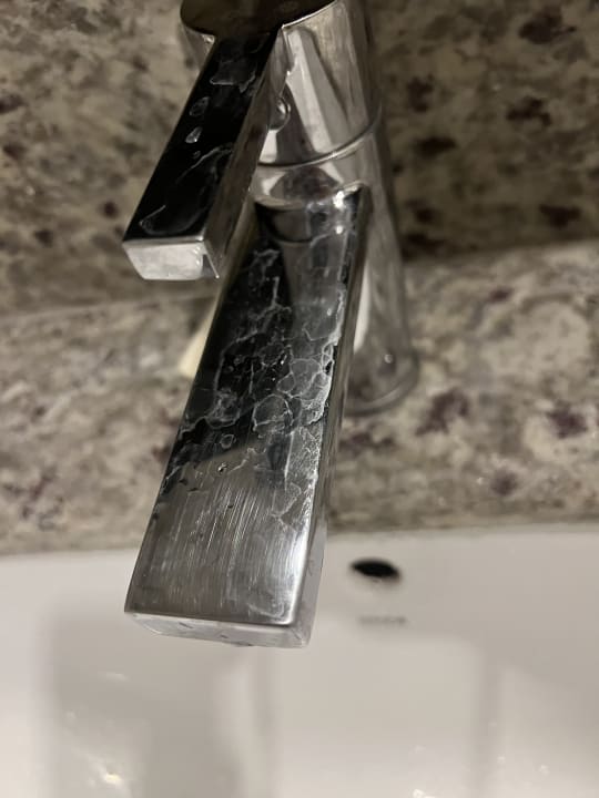 Zimmer Royal Seginus