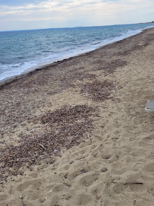 Strand TUI BLUE Lagoon Princess