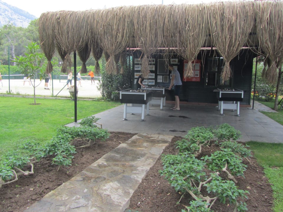 Paloma Renaissance Antalya Beach Resort & SPA Balmy Foresta