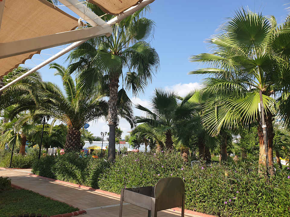 Außenansicht Sultan of Dreams Hotel & Spa