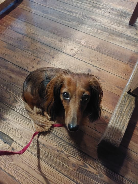 Sonstiges Hotel Gut Schmelmerhof