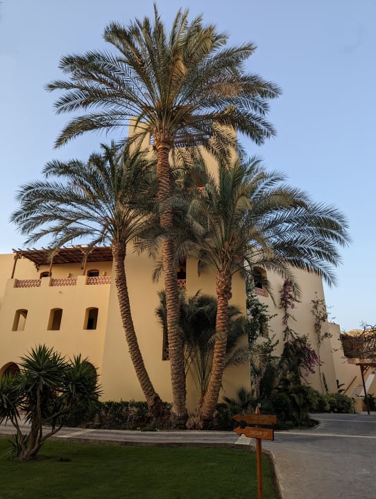 Gartenanlage Steigenberger Coraya Beach - Adults only