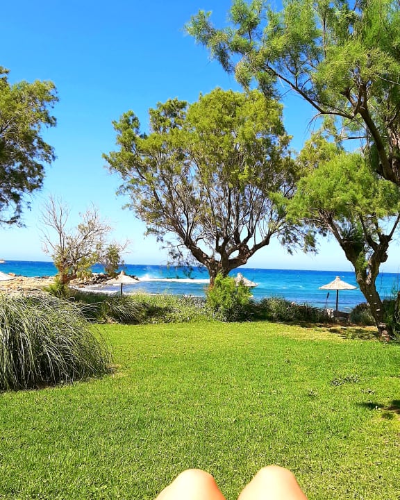 Gartenanlage Phãea Cretan Malia