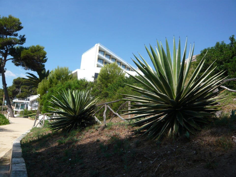Hotelgebäude mit Garten Hotel Exagon Park