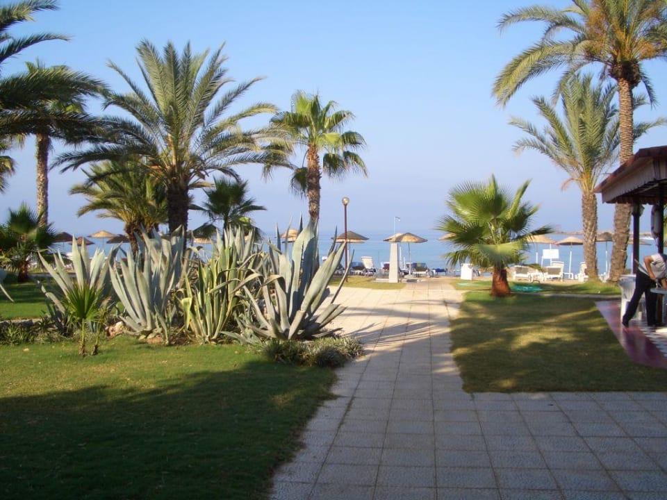 Weg zum Strand Top Hotel