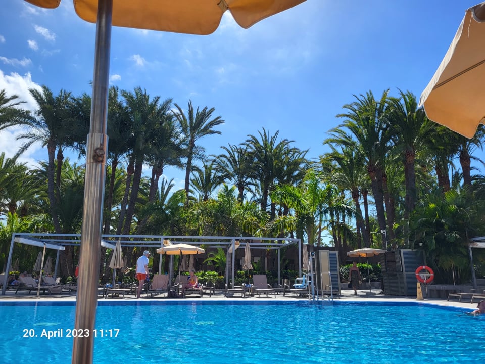 Pool Hotel Riu Palace Oasis