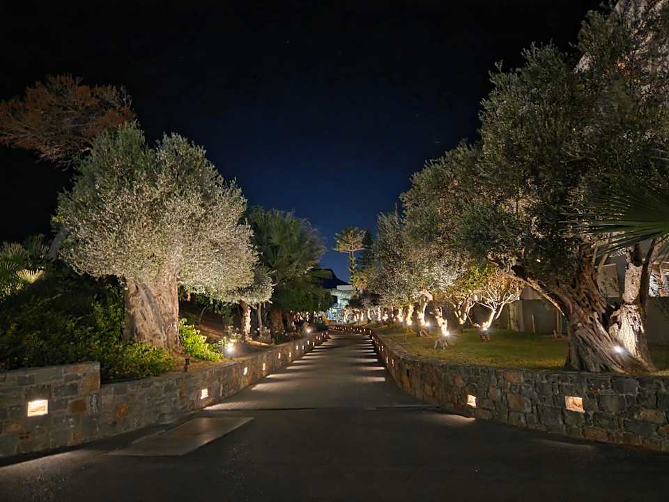 Gartenanlage Arina Beach Resort