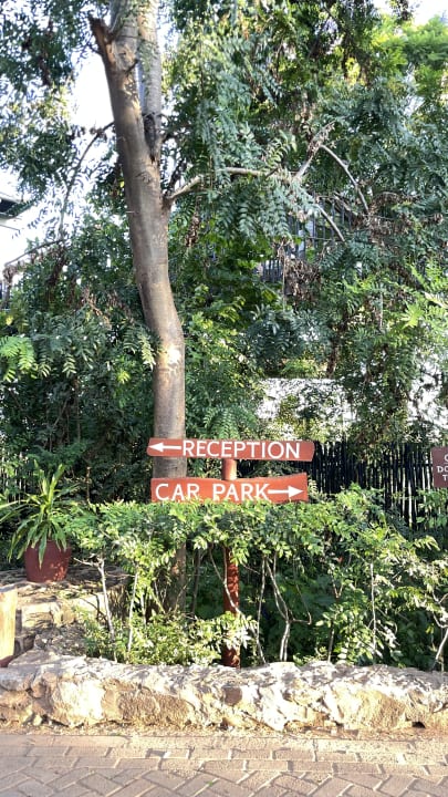 Sonstiges Salt Lick Safari Lodge