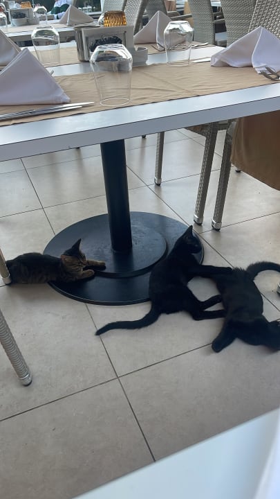 Gastro Xanadu Resort Hotel