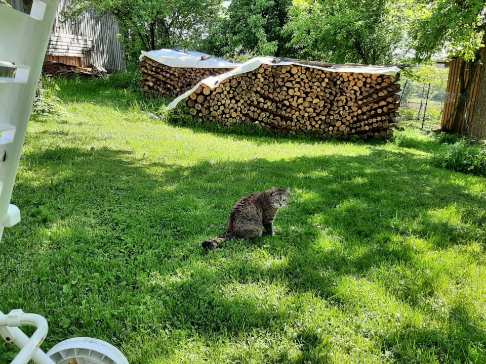 Gartenanlage Ferienhof Lehner am Rothsee