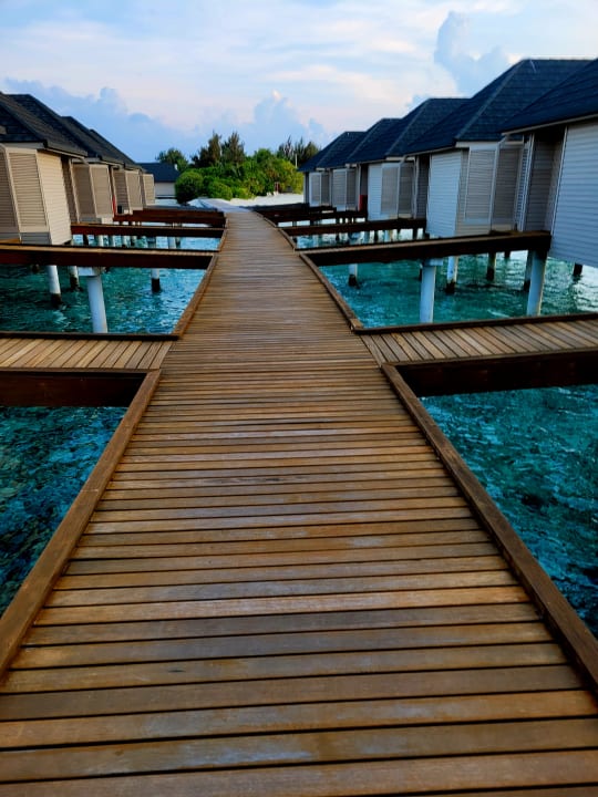 Zimmer Summer Island Maldives