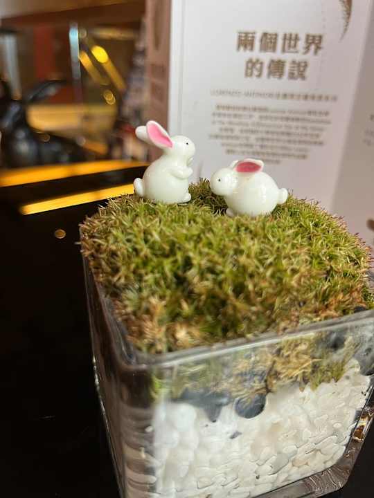 Sonstiges Hotel Mira Moon