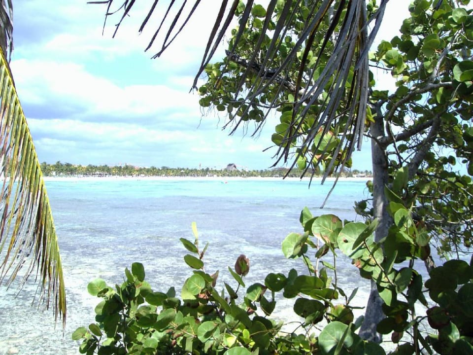 Hotelstrand Barceló Maya Beach