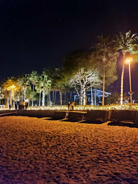 Strand Acanthus Cennet Barut Collection