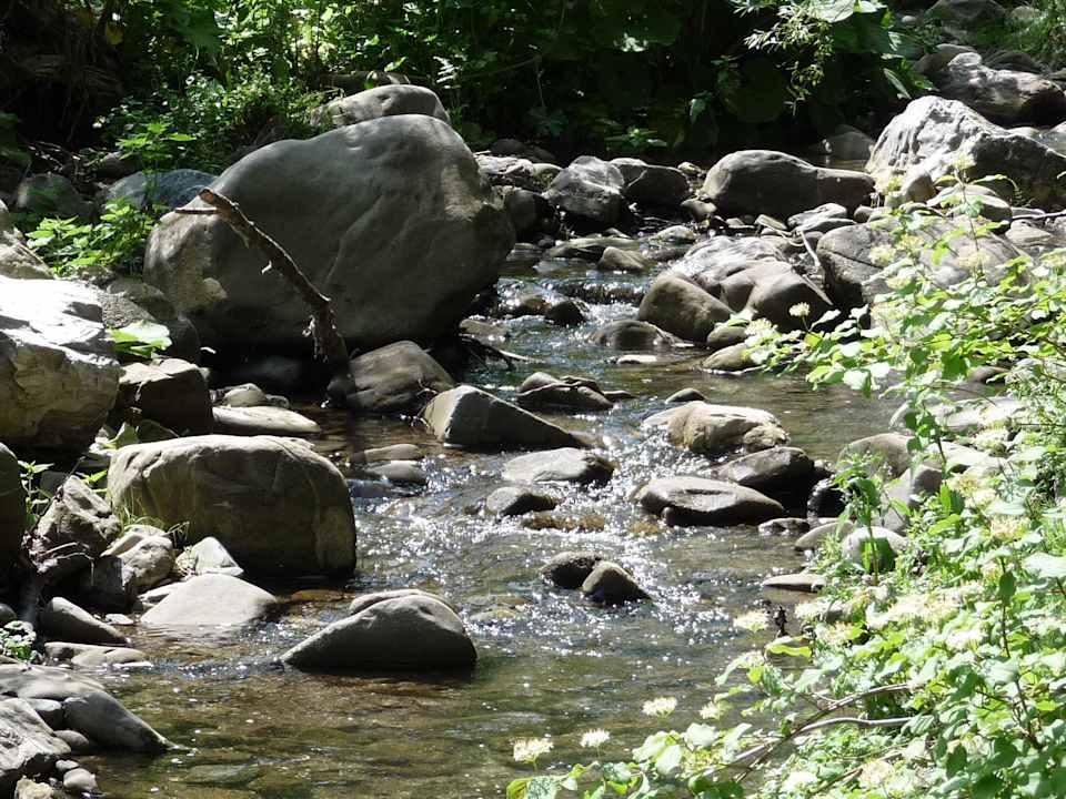 Ein Tag am Ende Agriturismo Podere del Vescovo