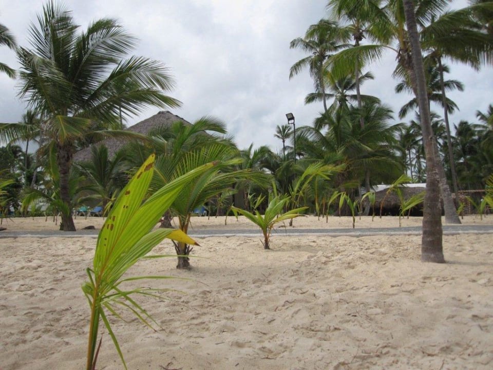  Strand Hotel Riu Bambu