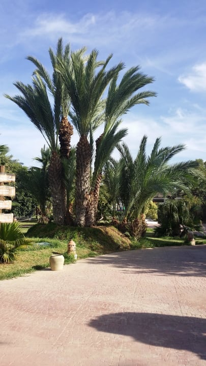 Poolanlage  Hotel Djerba Resort