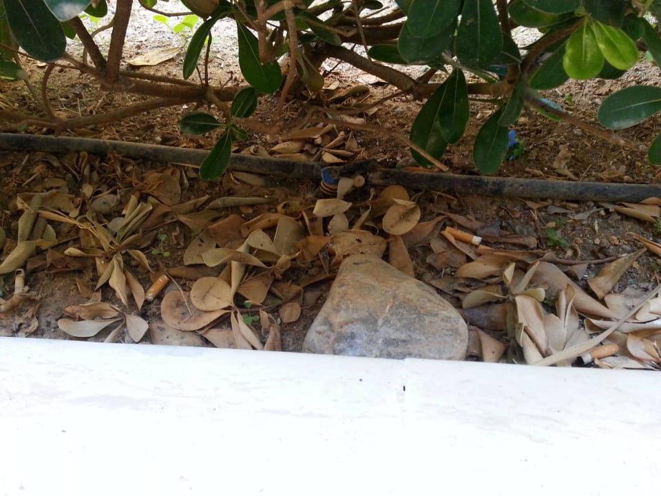 Balkon Hotel Odyssia Beach