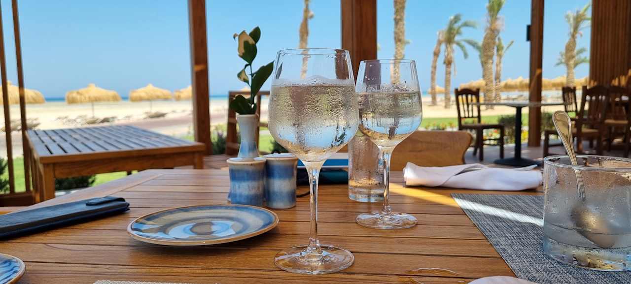 Gastro JAZ Elite Asteria