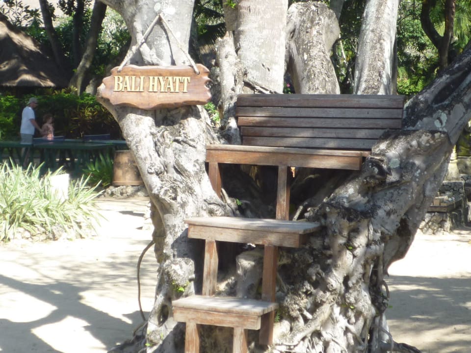 Originell Hyatt Regency Bali
