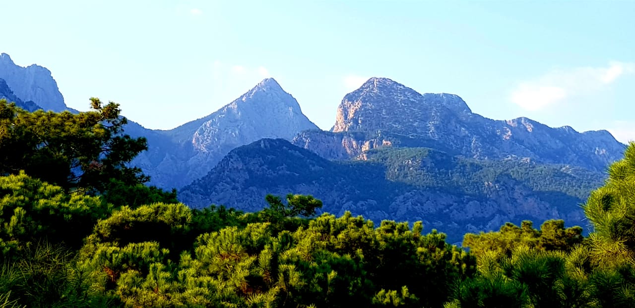 Ausblick Balmy Foresta