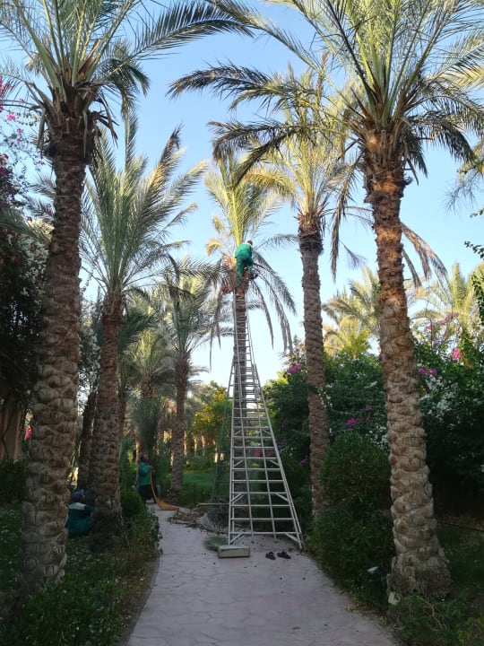 Gartenanlage Dream Lagoon Resort & Aqua Park