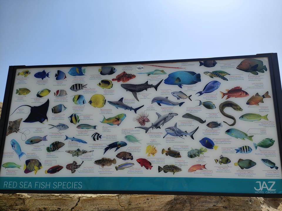 Sonstiges Steigenberger Coraya Beach - Adults only