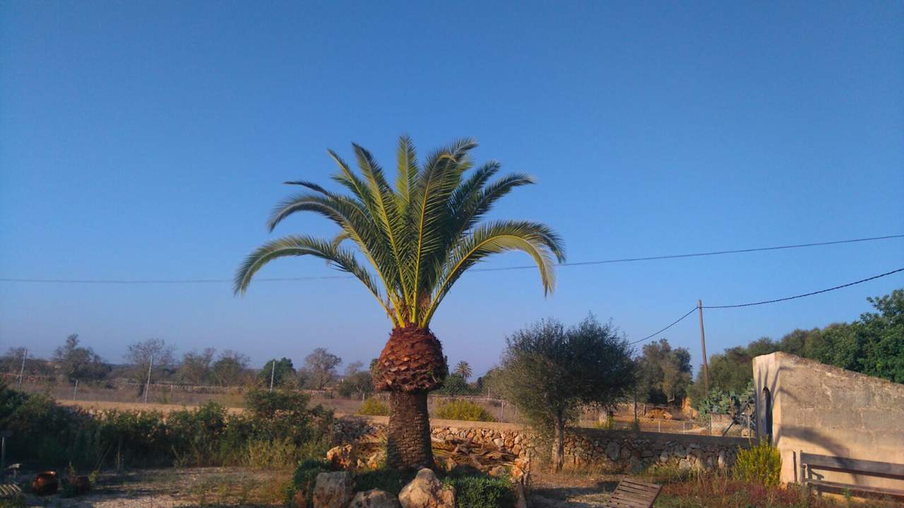 Außenansicht Finca el Retiro