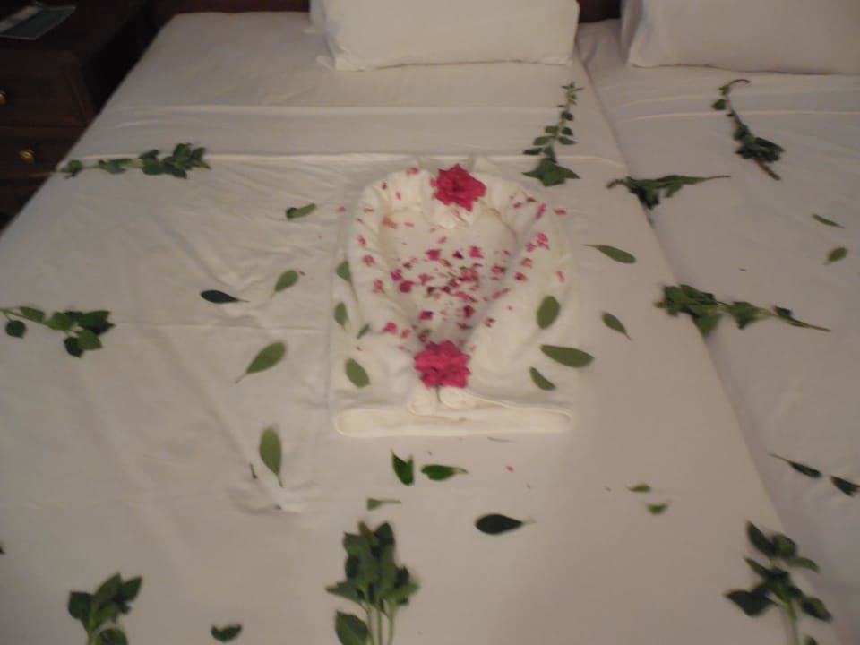 Jeden Tag etwas anderes Jasmine Palace Resort & Spa