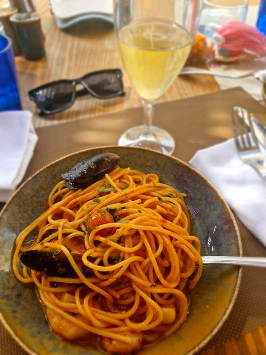 Gastro JAZ Elite Asteria