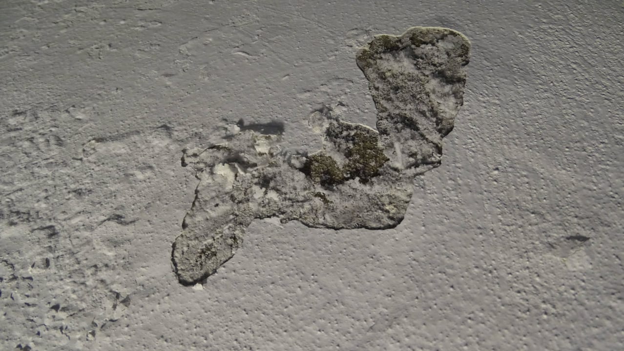 Fehlender Putz und Schimmel? Hotel Quality Inn Waterfront