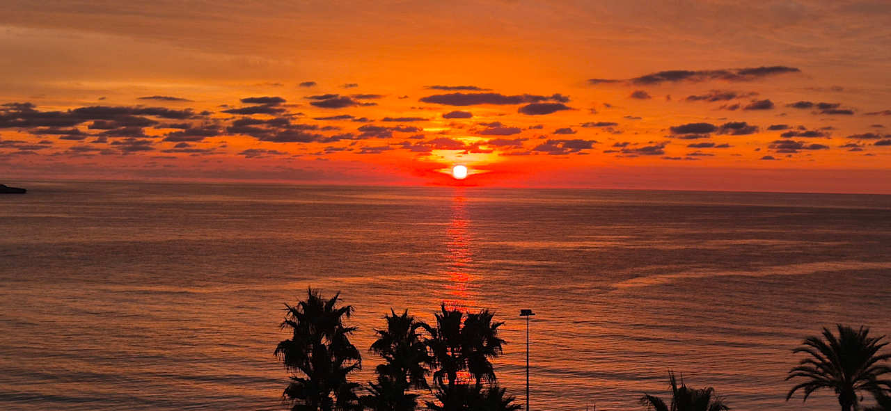 Ausblick Hipotels Mediterraneo