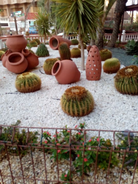 Sonstiges Corona Roja