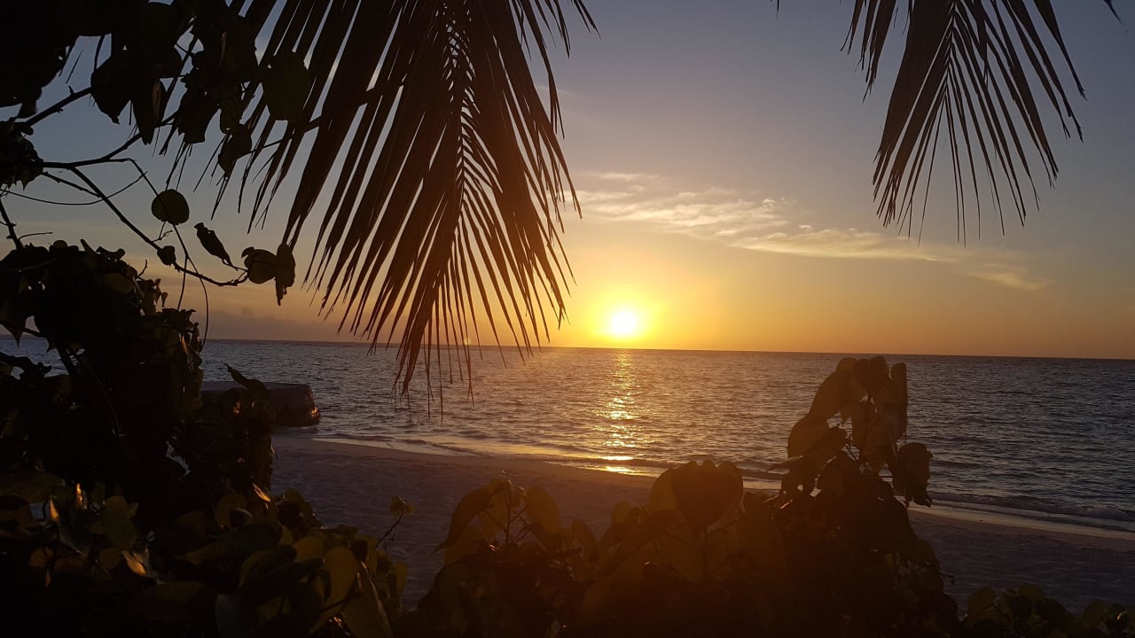 Sonnenuntergang am Strand Fihalhohi Maldives