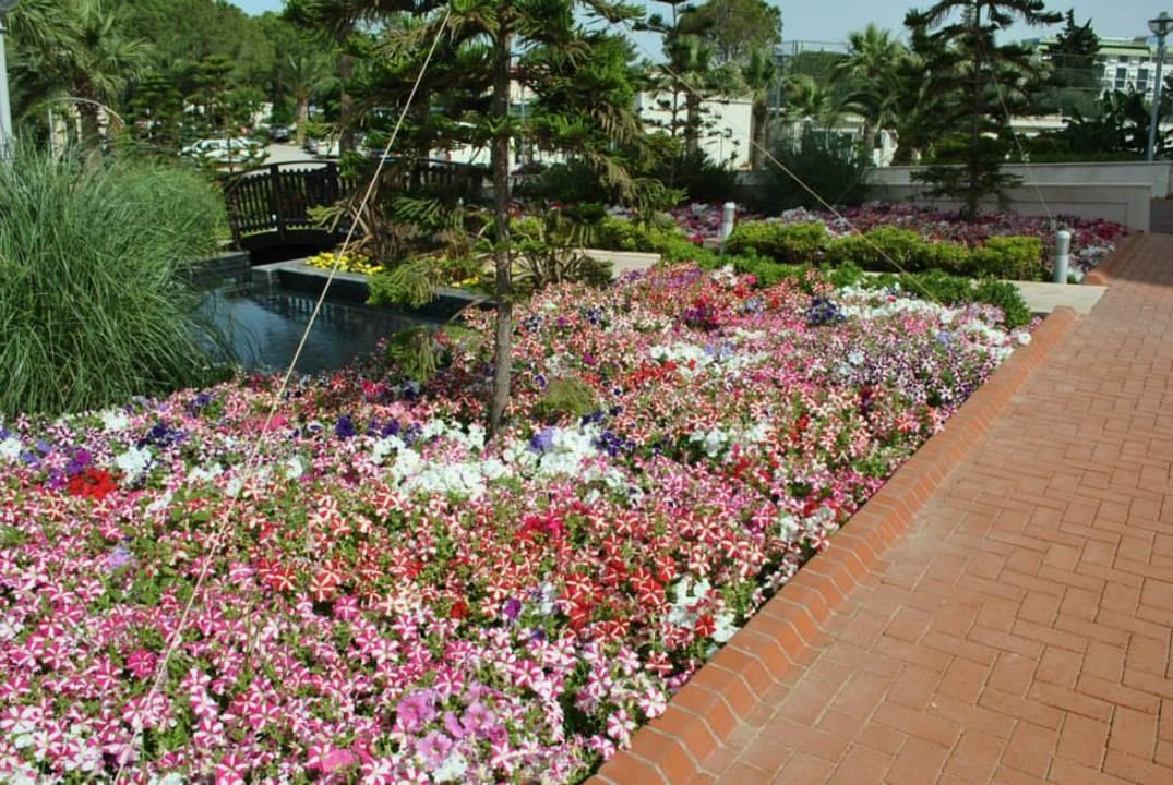 Welcome Summer Venosa Beach Resort & Spa