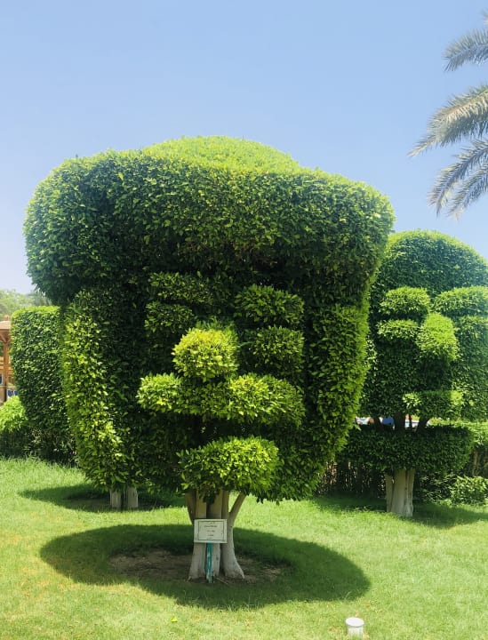 Gartenanlage Golden Beach Resort