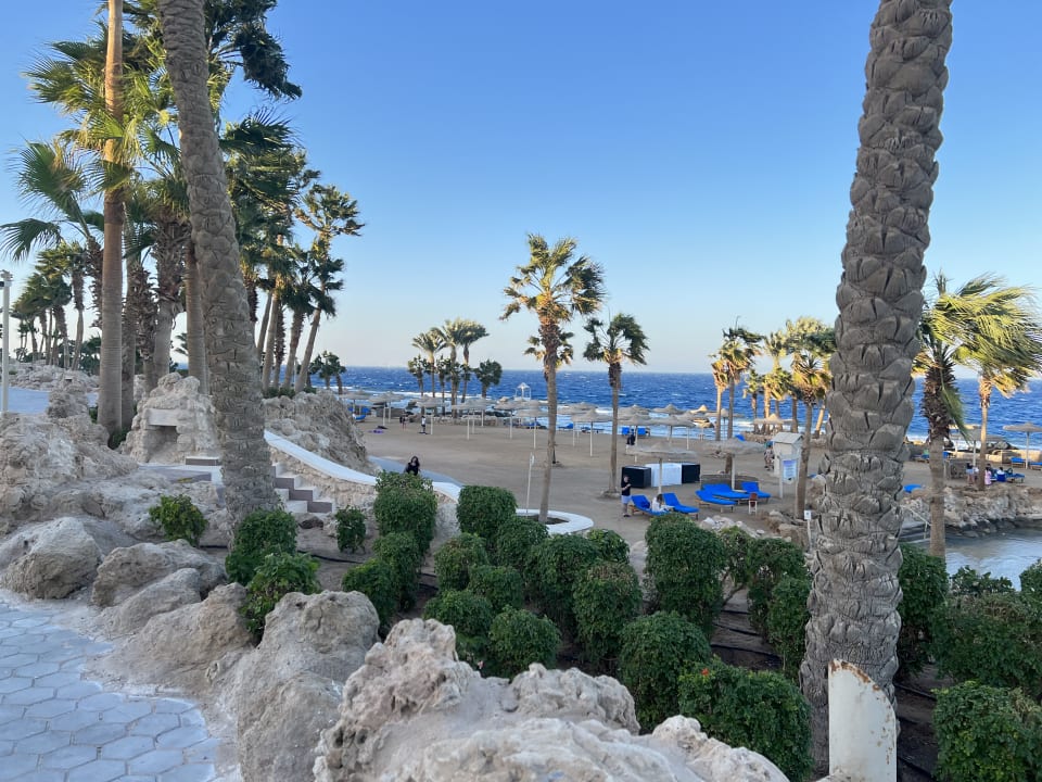 Strand Pickalbatros Citadel Resort