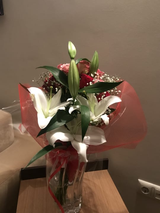 Sonstiges Alexandra Golden Boutique - Adults only