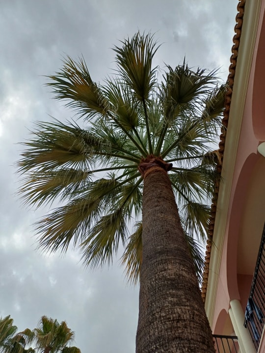 Gartenanlage R2 Lago Playa Park