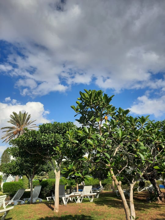 Gartenanlage Mahdia Palace Thalasso