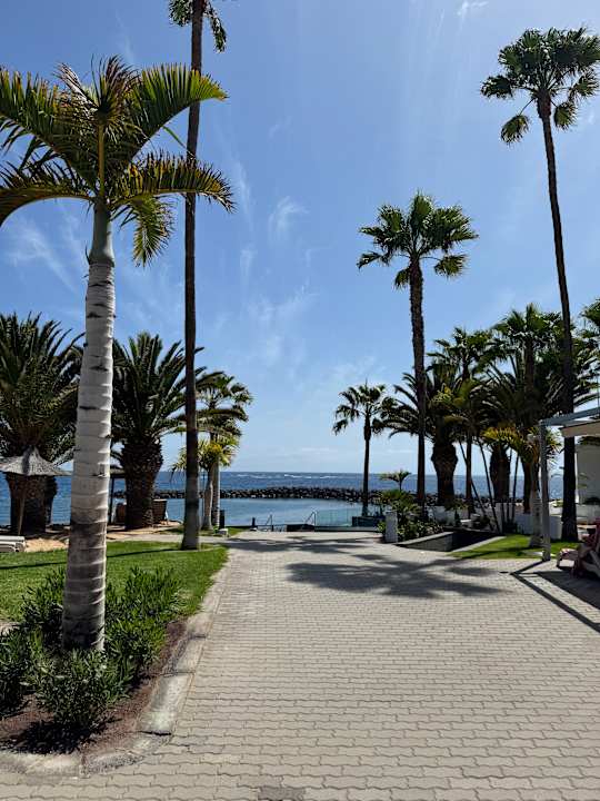 Gartenanlage Hotel Riu Palace Tenerife