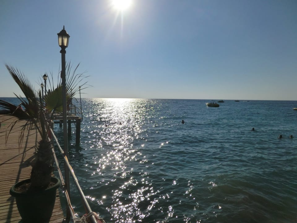 Blick aufs Meer vom Steg Botanik Hotel & Resort